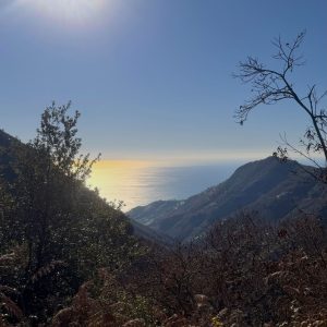 amalfi18