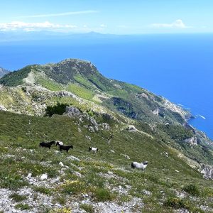 monte_faito5